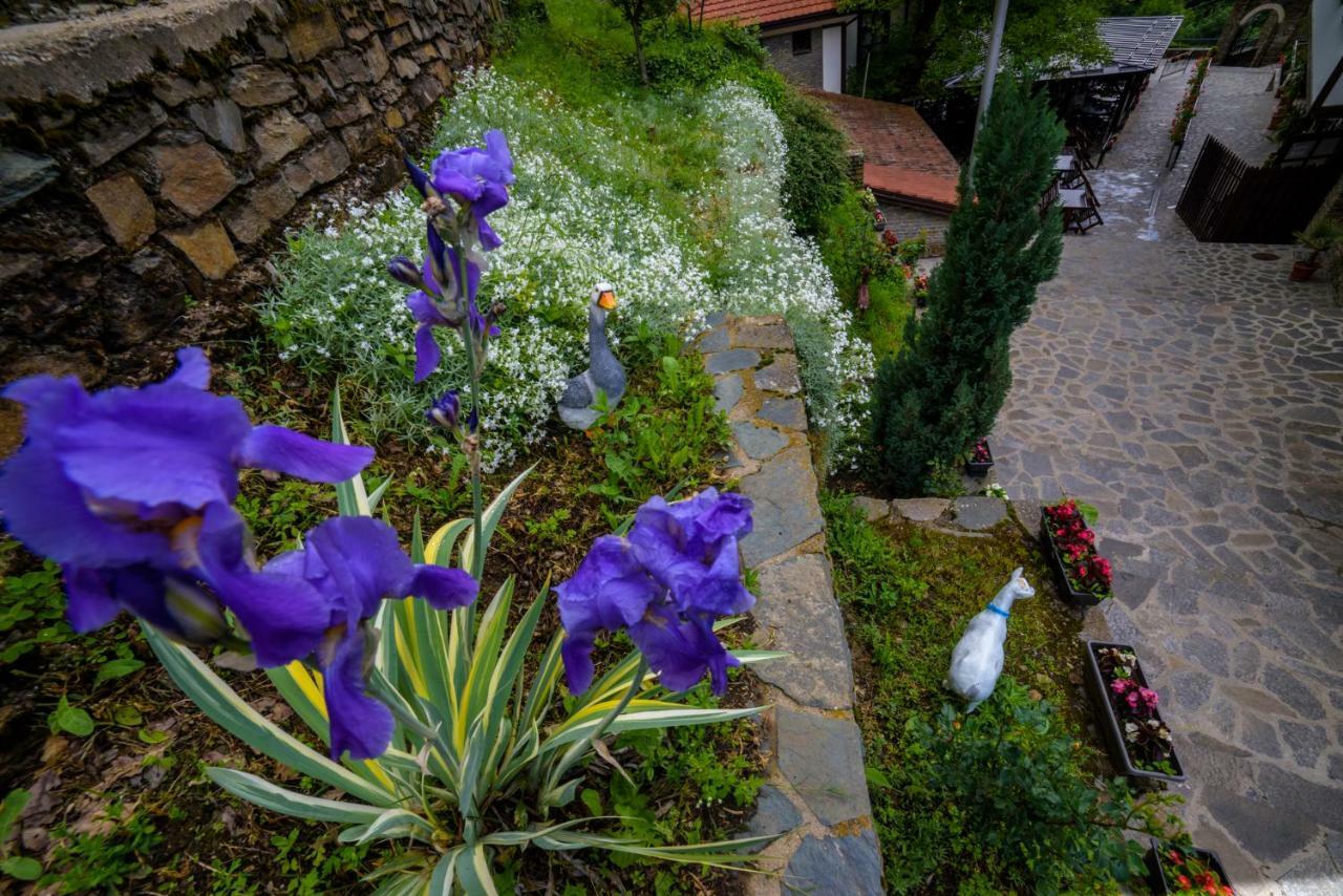 Hotel Manastir Sv. Joakim Osogovski Kriva Palanka Dış mekan fotoğraf